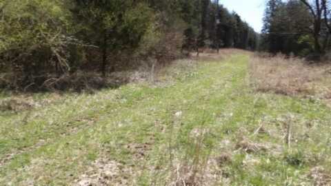 Lot 6 Baugh Hollow Rd, GAINESBORO, TN 38562
