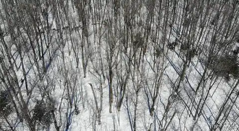 TBD 1 M28, Bergland, MI 49910
