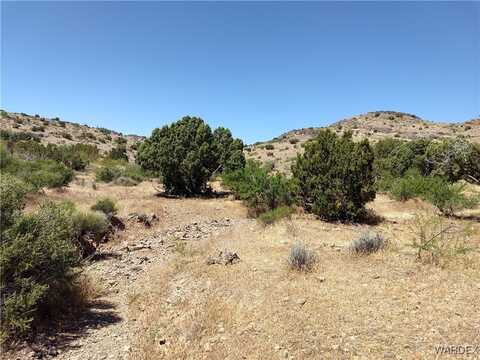 Lot 007c N Unkown, Golden Valley, AZ 86413