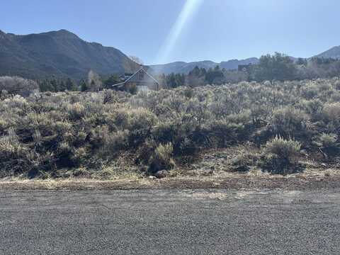 0.55 Acre Parcel #SCPN-9, Pine Valley, UT 84781