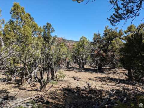 0 S 39300 W, Fruitland, UT 84027