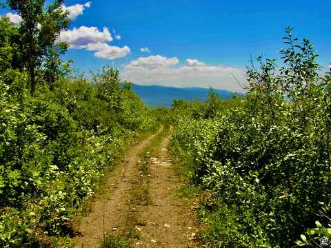undefined, Fairview, UT 84629