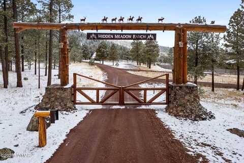 7 N County Road #1332 Street, Greer, AZ 85927