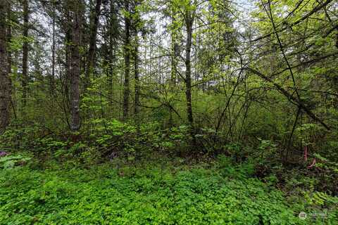 E Clear Lake Boulevard Se, Yelm, WA 98597