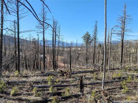 Forbes Park Road, Fort Garland, CO 81133