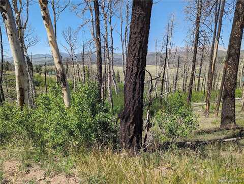 Duckworth Drive, Fort Garland, CO 81133