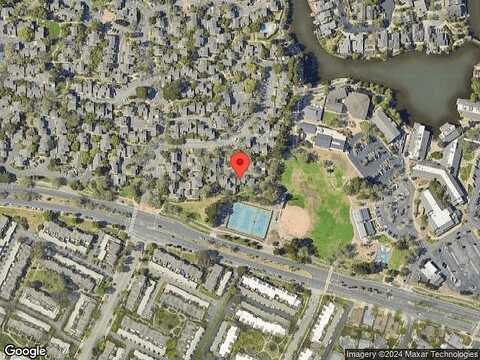 Lagunaria, ALAMEDA, CA 94502