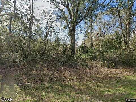 County Road 141, JENNINGS, FL 32053