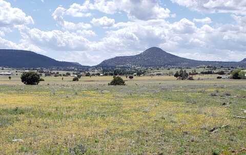 W Baker Ranch Rd, Young, AZ 85554