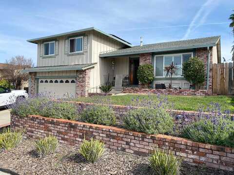 Bluejay, ANTIOCH, CA 94509