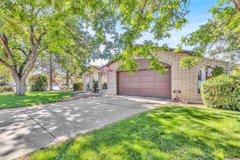 Beech, CANON CITY, CO 81212
