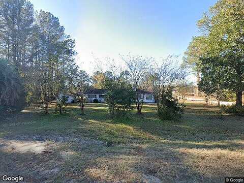 Highway 301, HORTENSE, GA 31543