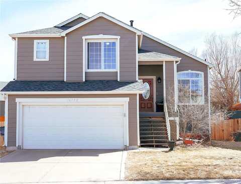 Dandelion, PARKER, CO 80134