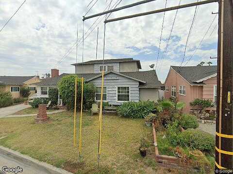 Parrot, DOWNEY, CA 90242