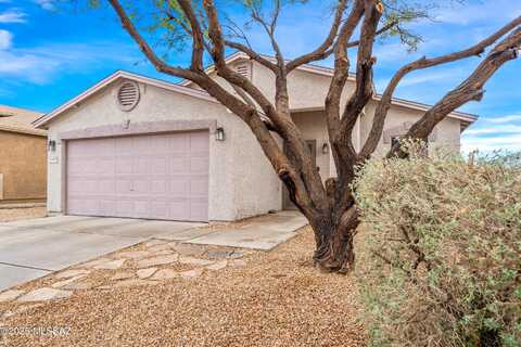 Deer, TUCSON, AZ 85748