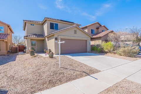 Amber Hawk, GREEN VALLEY, AZ 85614