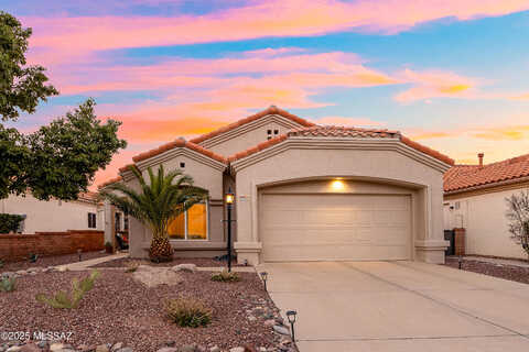 Jonquil, ORO VALLEY, AZ 85755