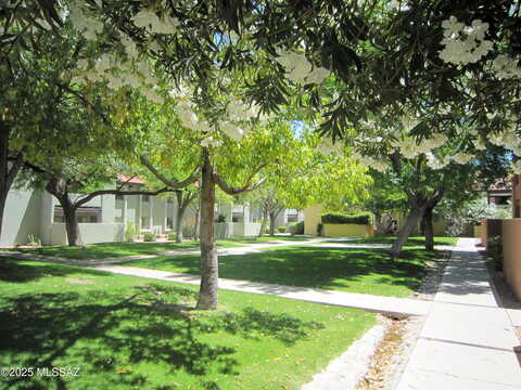Pantano, TUCSON, AZ 85715