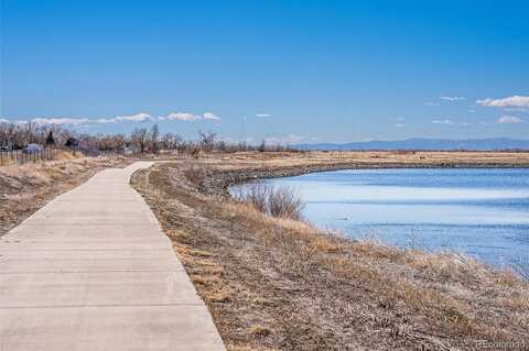 Bluebird, BRIGHTON, CO 80601