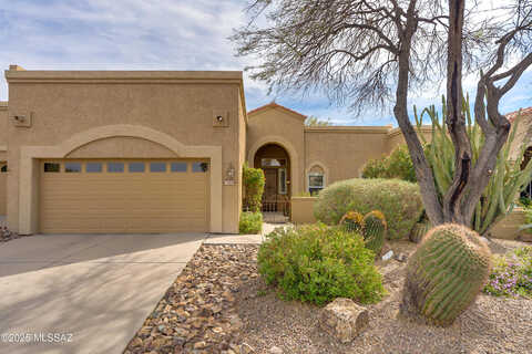 Running Coyote, TUCSON, AZ 85755