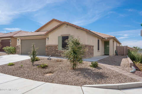 Boll Bloom, MARANA, AZ 85653