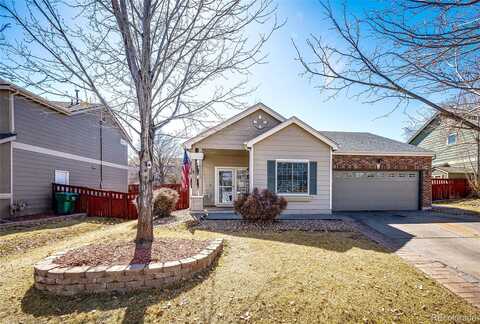 Nighthawk, BRIGHTON, CO 80601