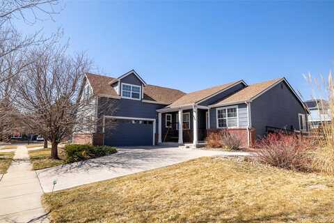 Gold Maple, BRIGHTON, CO 80601