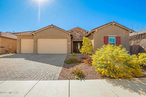 Indian Wheat, TUCSON, AZ 85747