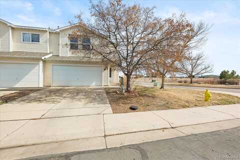 Macaw, BRIGHTON, CO 80601