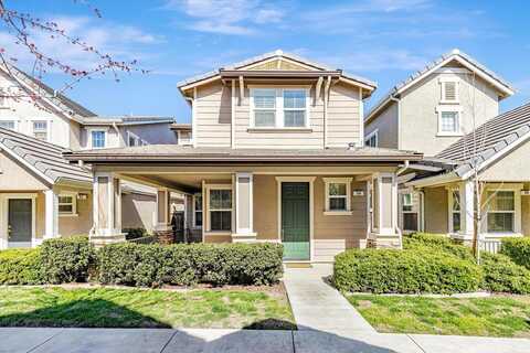 Pelican, BRENTWOOD, CA 94513