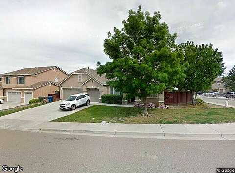 Lovebird, ANTIOCH, CA 94509