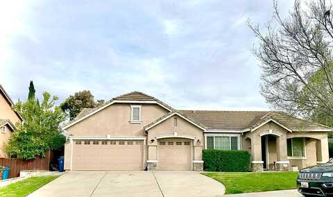 Lovebird, ANTIOCH, CA 94509