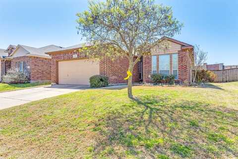 Day Dream, HASLET, TX 76052