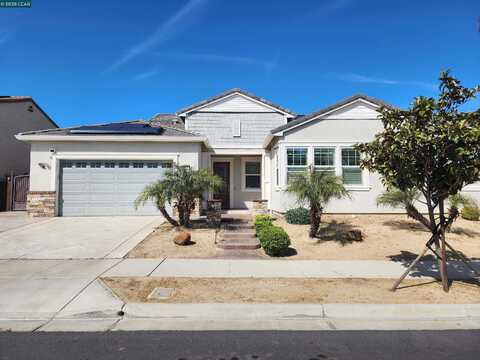 Springfield, BRENTWOOD, CA 94513
