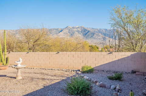 Silverwood, TUCSON, AZ 85739