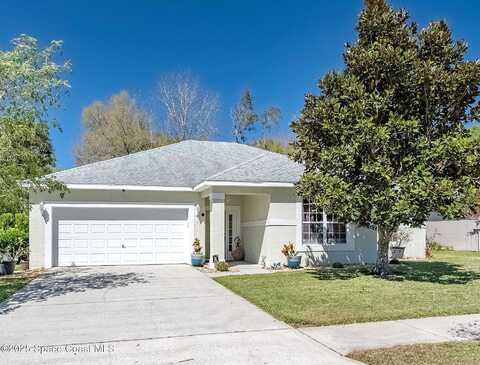 Meadow Lark, TITUSVILLE, FL 32780