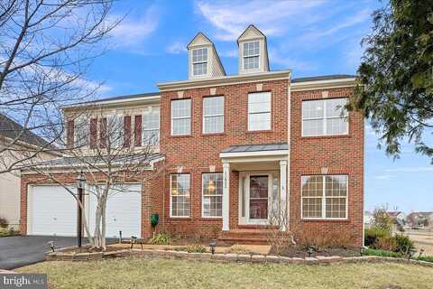 King Nobel, BEALETON, VA 22712