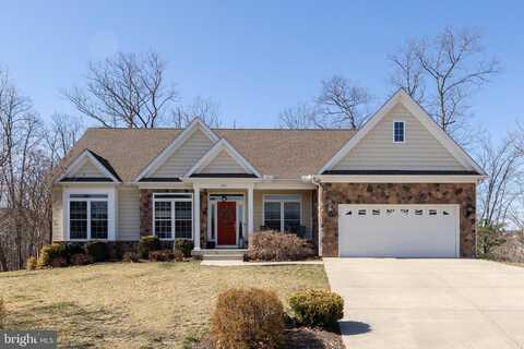 Jeni, WINCHESTER, VA 22602
