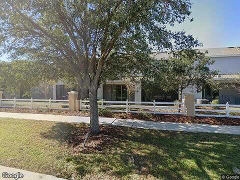 Falling Blue, RIVERVIEW, FL 33578