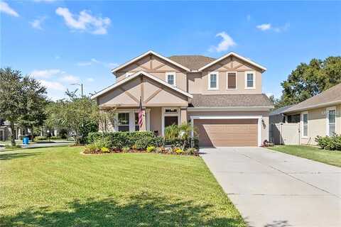 Nectar Ridge, ODESSA, FL 33556