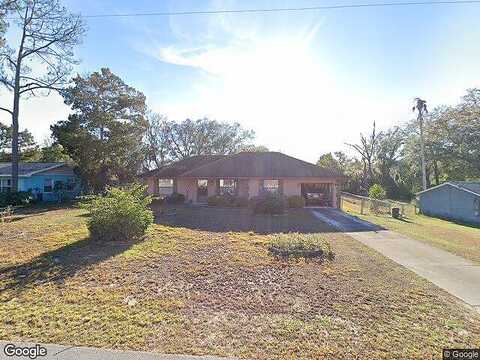 Hibiscus, DADE CITY, FL 33523
