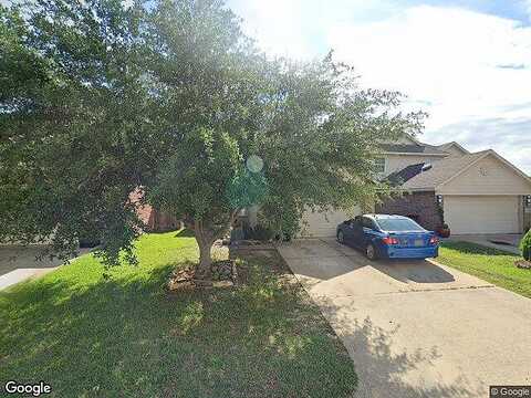 Osprey Landing, HOCKLEY, TX 77447