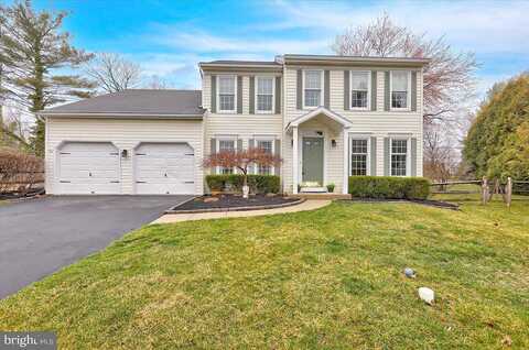 Shamrock, ROYERSFORD, PA 19468