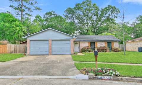 Tallow Tree, HOUSTON, TX 77070