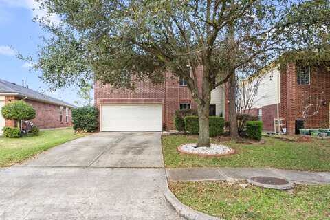 Tarpon Springs, HOUSTON, TX 77095