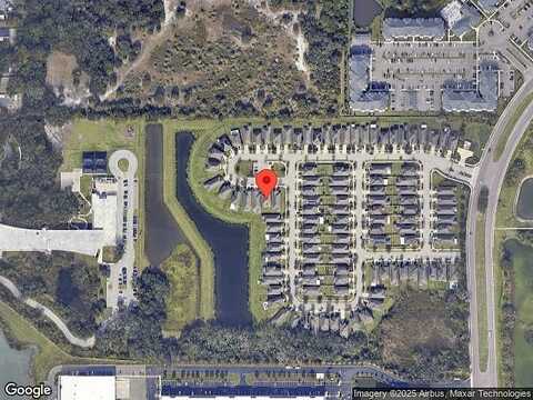 Red Spruce, RIVERVIEW, FL 33578
