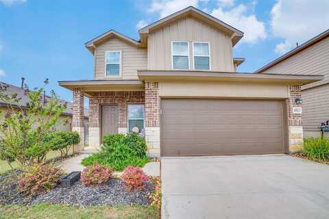 Felsite, SAN ANTONIO, TX 78253