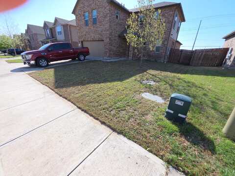 Culebra, GEORGETOWN, TX 78626
