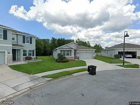 Midnight Dove, ODESSA, FL 33556