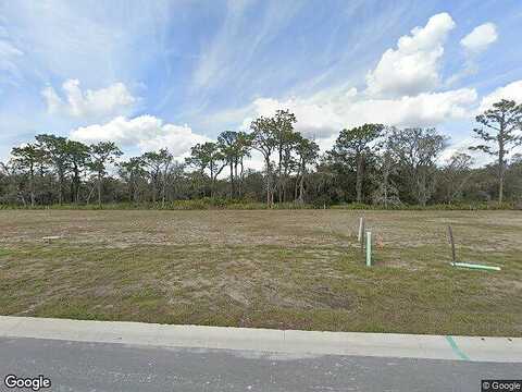 Wildflower Meadow, RIVERVIEW, FL 33579